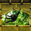 Poster Modelo TREE HOUSE KO4-505, 194x270
